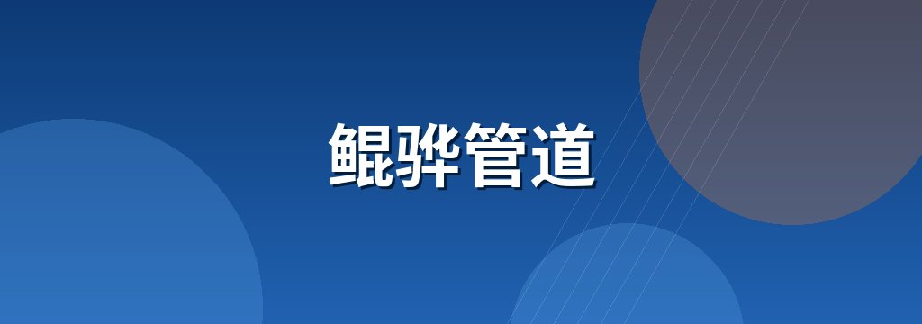鲲骅管道 商铺横幅