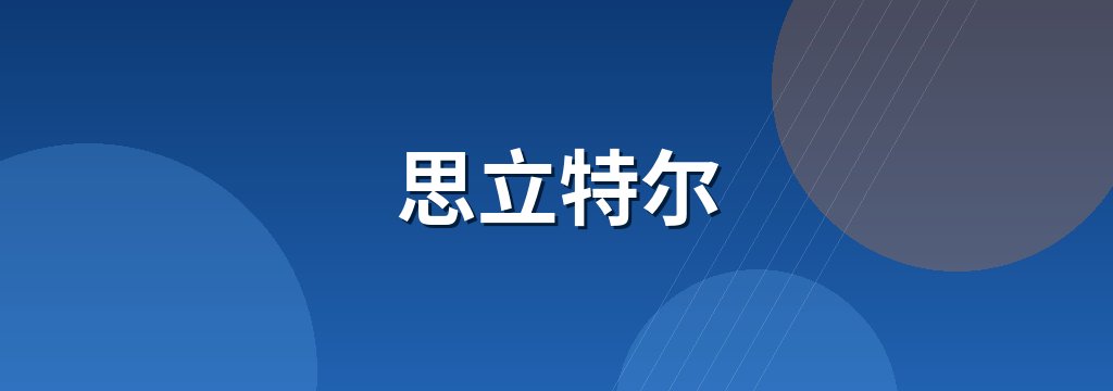 思立特尔 商铺横幅